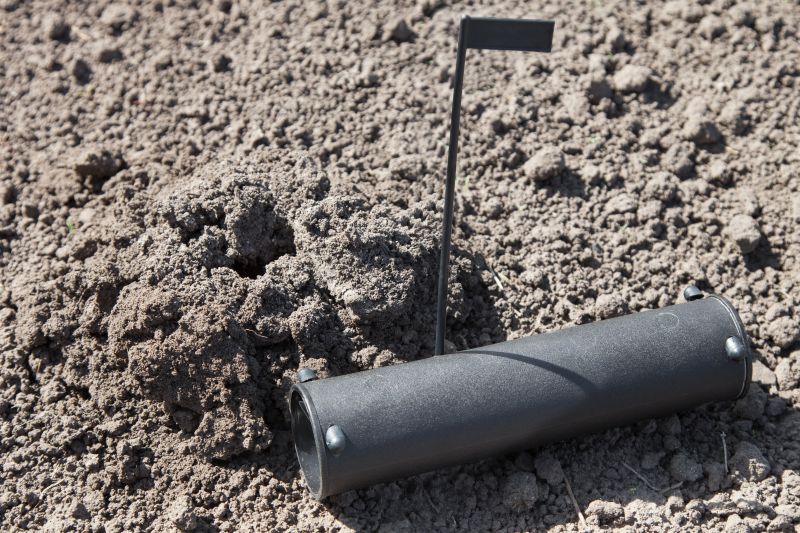 Lawn Mole Removal